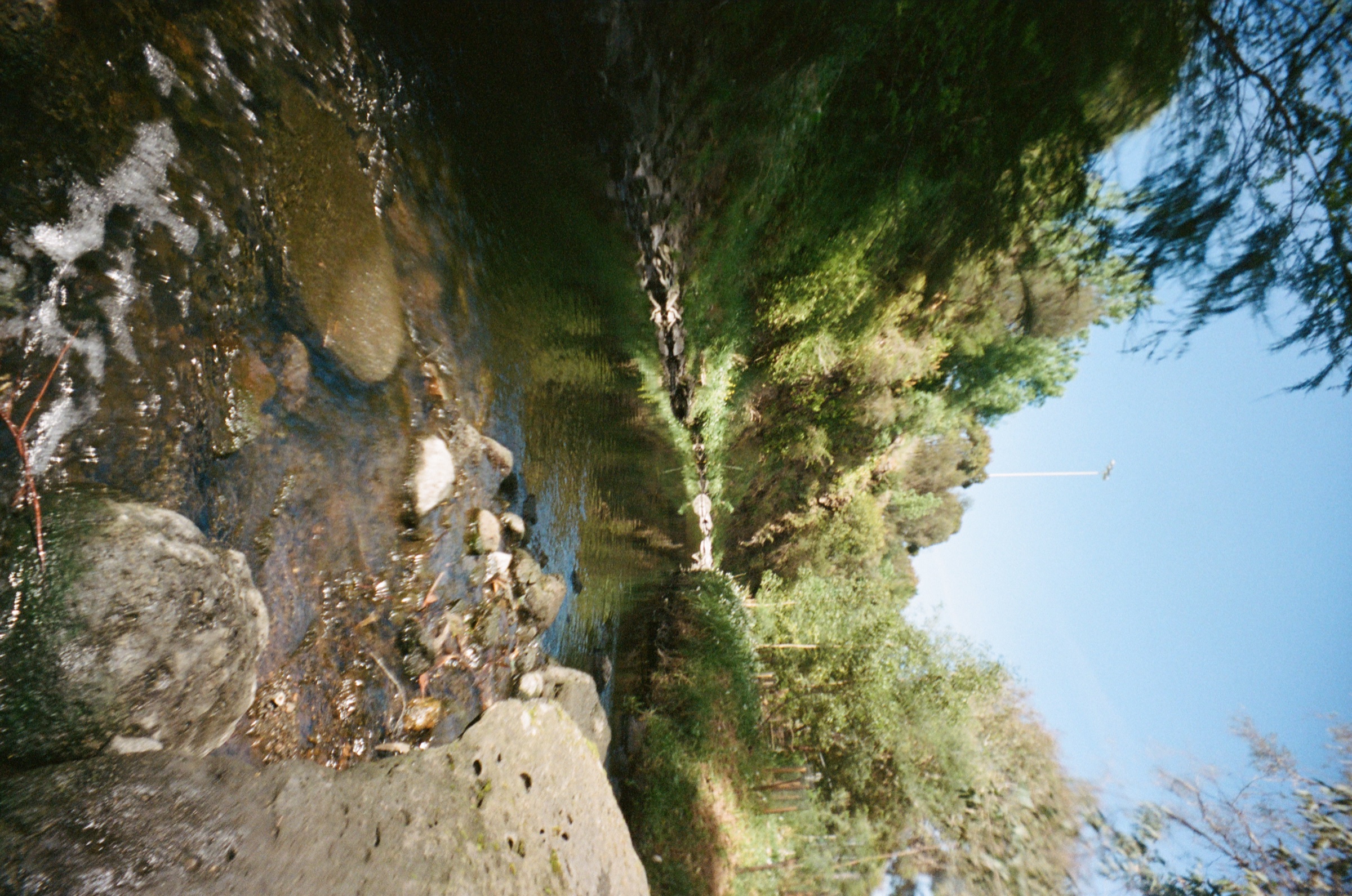 Creek bank and stones in open light