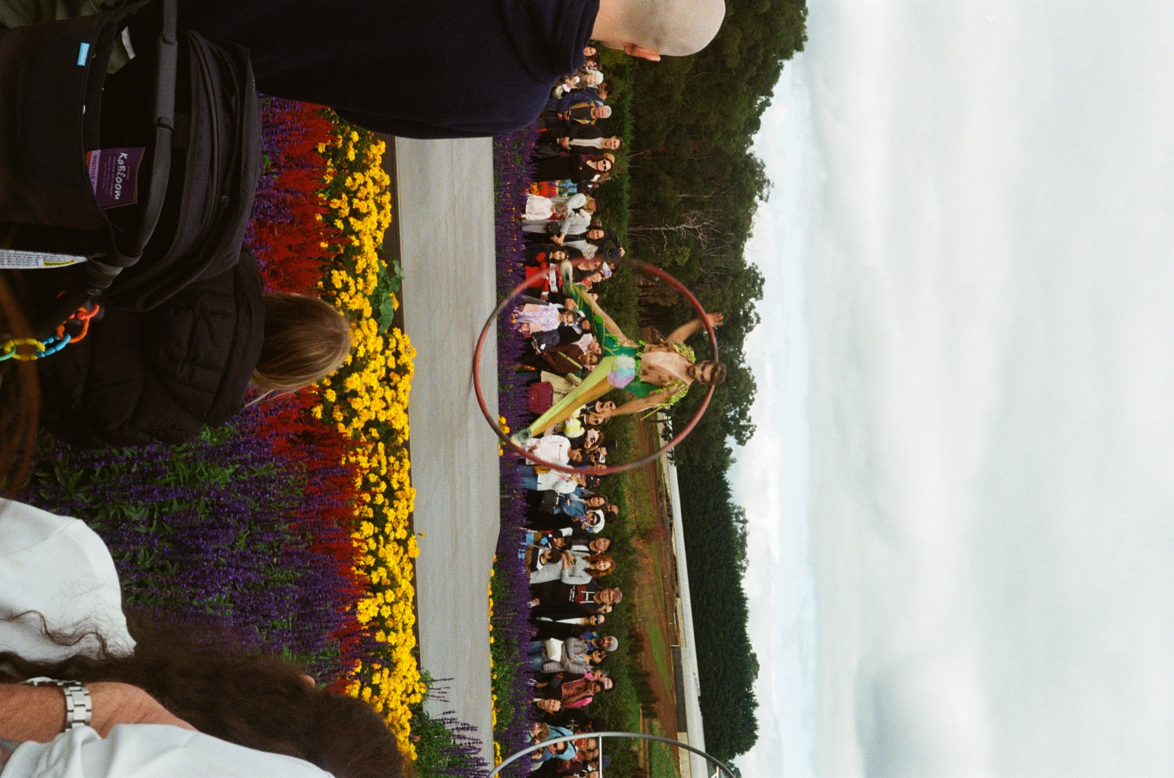 Tesselaar Flower Farm frame 22
