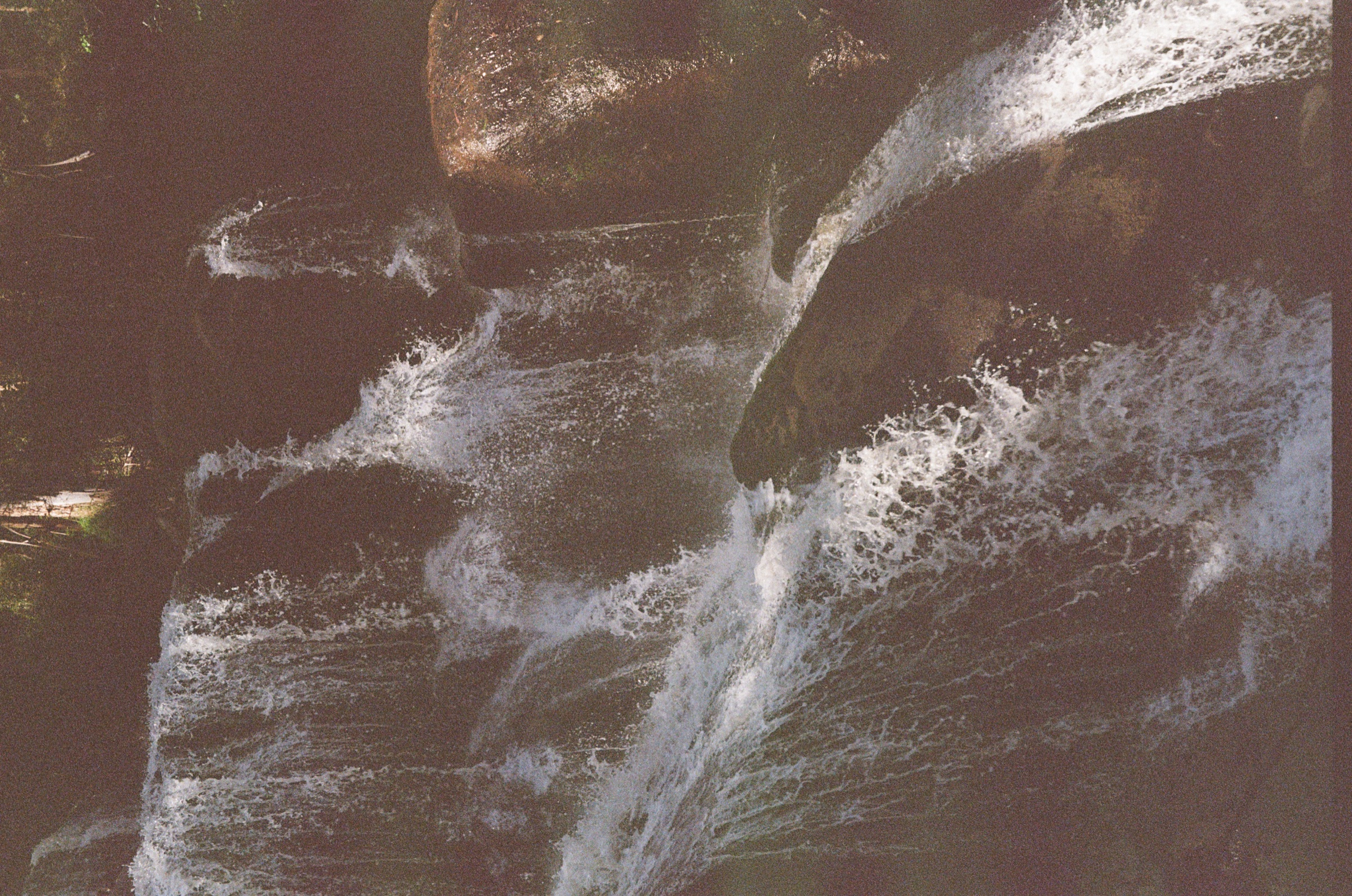Toorongo Falls Walk frame 5